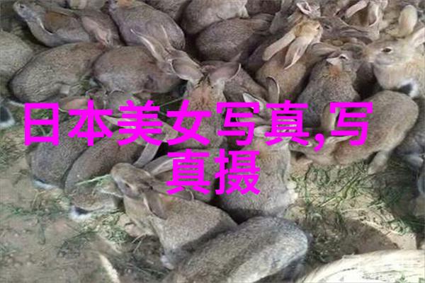 爸爸当家2免费观看完整高清-家庭之星爸爸当家2的温馨回忆