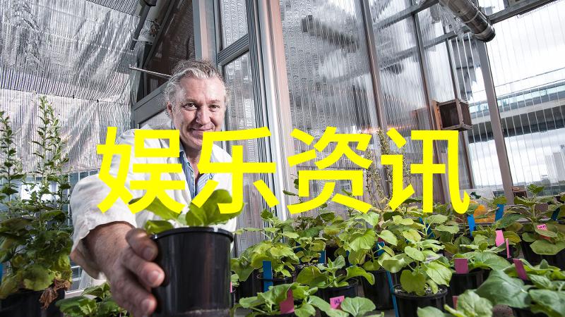 色情电影我怎么就看了那些不应该看的片子