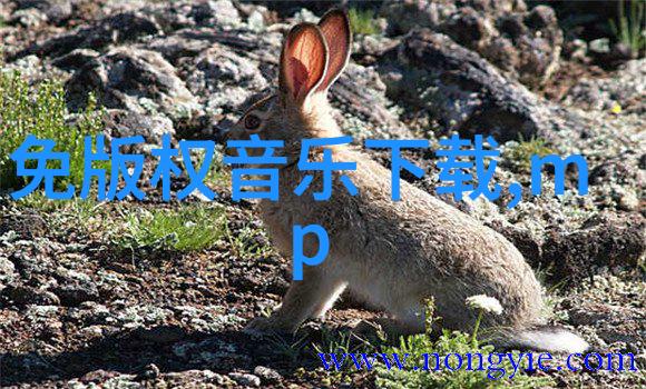 穿梭星辰的铁血之翼无翼乌高铁列车的奇迹航行