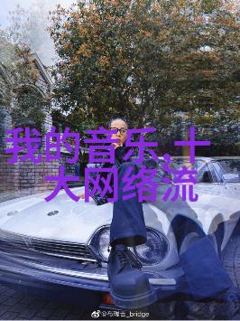 娱乐-笑声与奇趣深度探索日本综艺节目的魅力