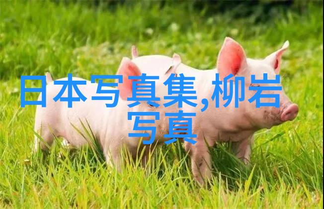 探索写真的真谛揭秘摄影艺术中的非虚构故事