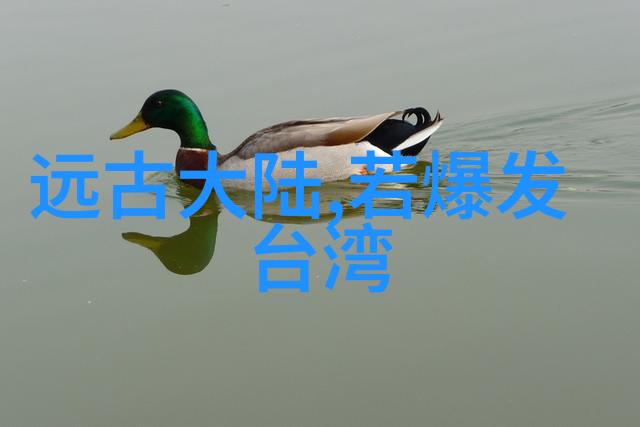 海峡两岸和平统一下的新天空梦想国旗的诞生