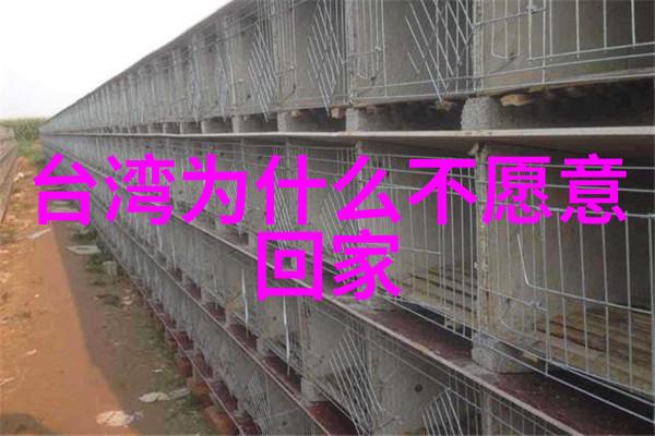 娱乐圈头条影帝背后的真实爱情故事又被揭露了网友们为何如此关注