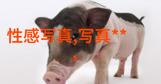 王晓晨像汤唯是第11张明星脸