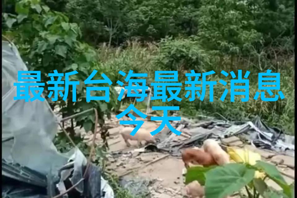 余生请多指教江小绿美丽时尚的生活方式