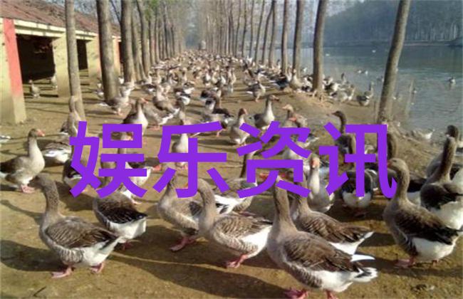 吴亦凡事件爱情权力与道德的错综复杂