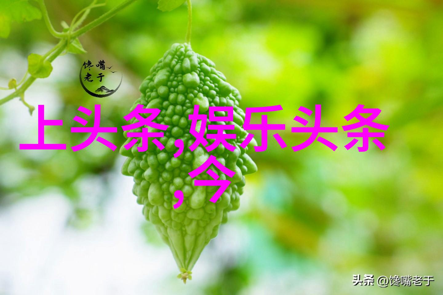 早安图片大全2023-温馨启航展现新的一天美好瞬间的精选图片集