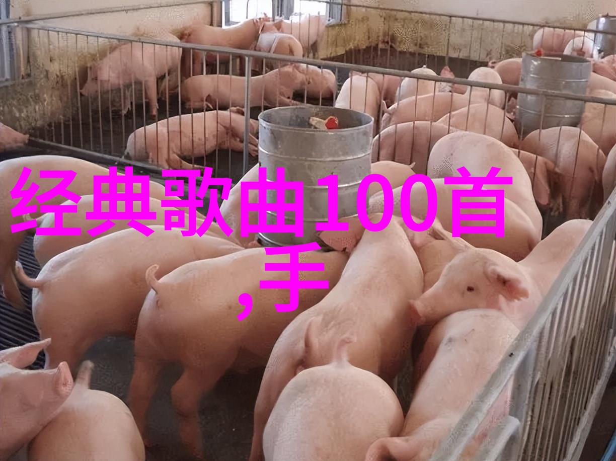 3月份星座探秘水瓶座与双鱼座的奇遇