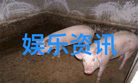 逆袭梦想废柴兄弟的奇迹之旅