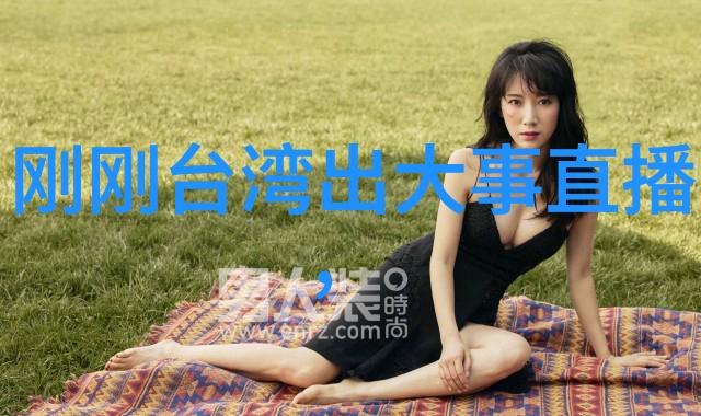 台湾风云变幻岛内政治热点与社会议题探究