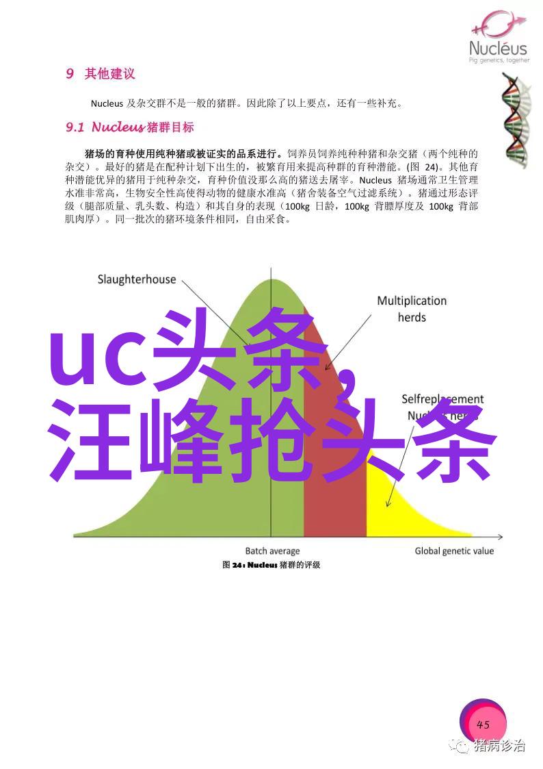 今日头条新闻潮流与时尚的数字平台