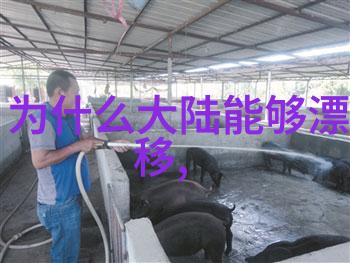 神马电影精彩回顾经典影片时尚演员感人剧情