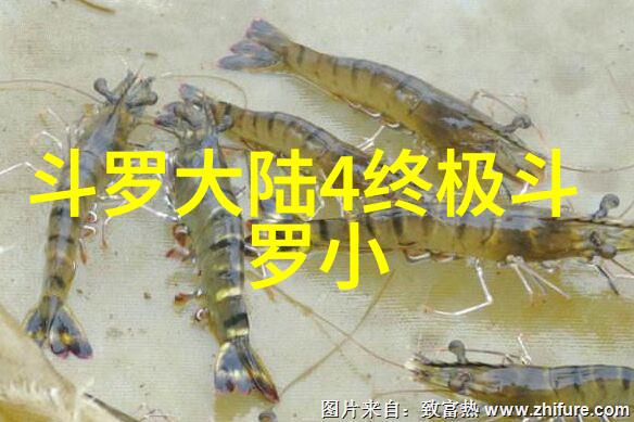 娱乐-笑声满堂日本综艺节目的魅力与风采