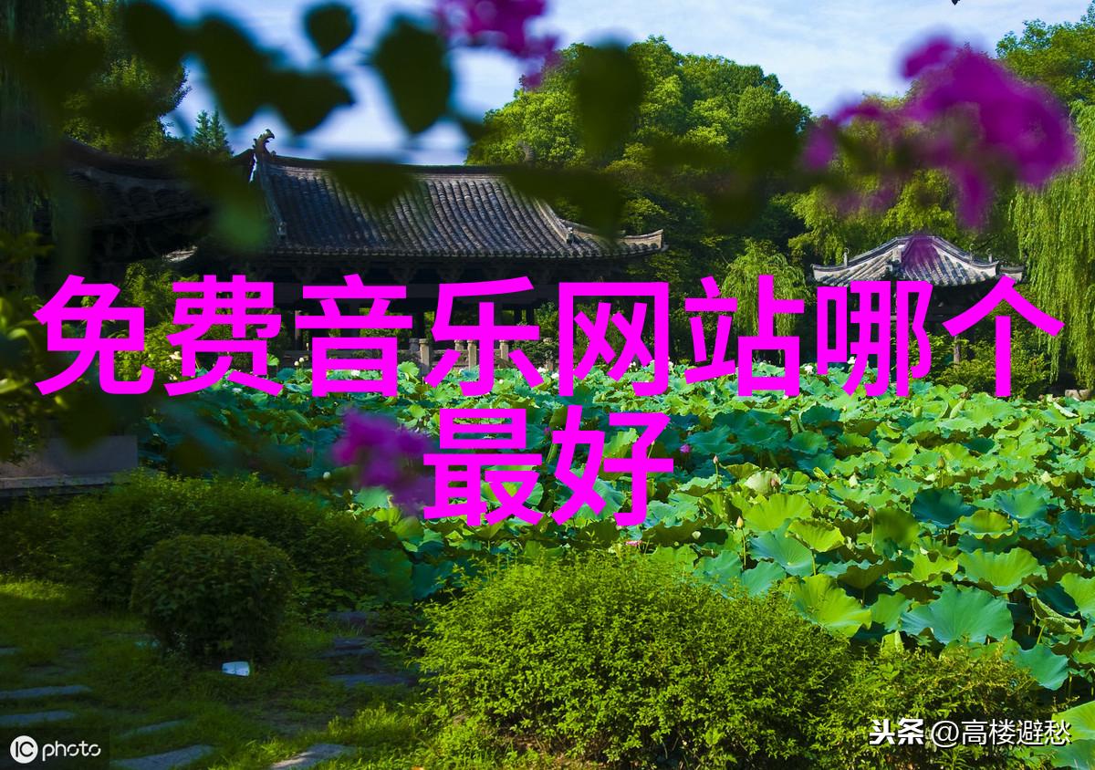 我的全部直播平台大冒险揭秘那些隐藏的好玩之处