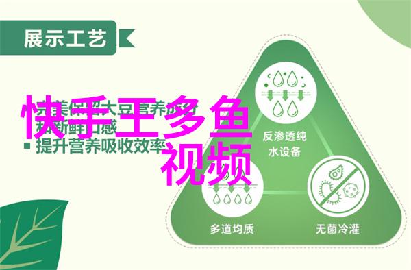 无与伦比的美丽 电视剧 - 光影中的绝色揭秘无与伦比的美丽电视剧背后的故事