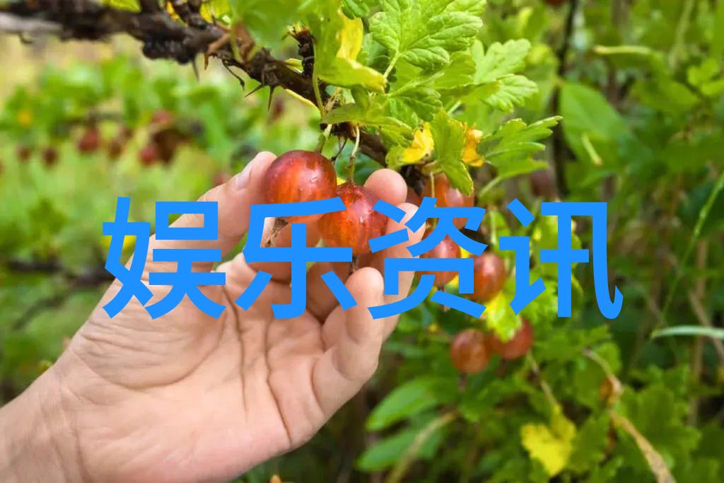 凤凰娱乐之于文化传承的现代意义探究