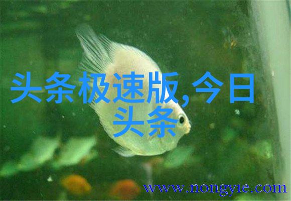 市场预期重塑全球经济复苏新动态解析