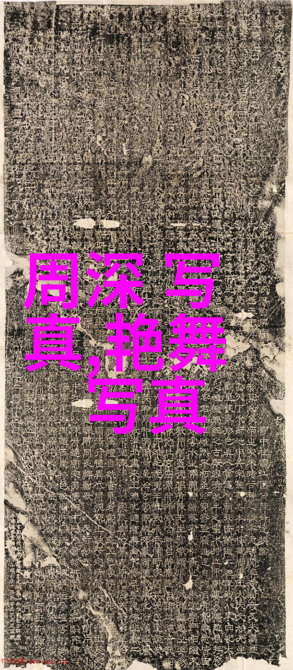 刘涛的武功高强刘涛的精湛武艺