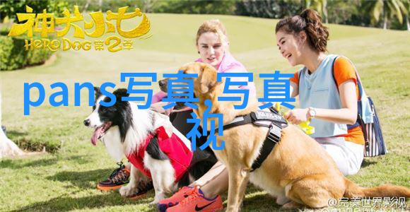 从同事到伴侣才不要和老板谈恋爱揭示的隐私问题
