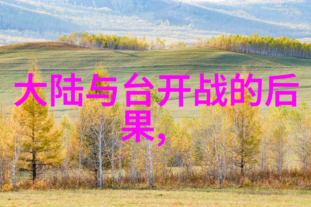 粉丝眼中的偶像梦想伙伴综艺中的角色扮演