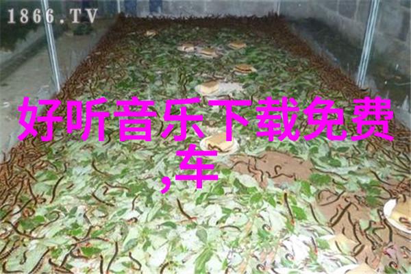 中国好声全国大型音乐竞技秀