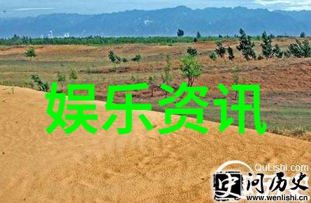 在娱乐圈中综艺大哥大这一称号背后隐藏着什么秘密