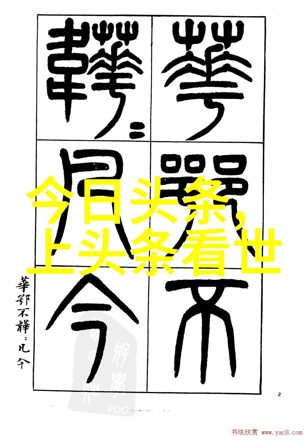 汤加丽写真展览捕捉时尚界的魅力与风采