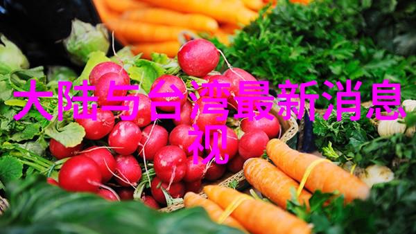 影视大全-探索电影与电视的无尽世界影视大全指南