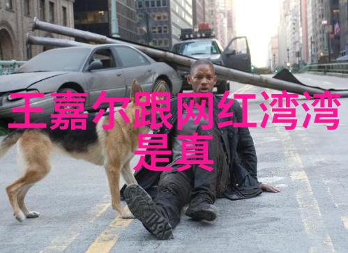 世界的七大洲探索我们的家园