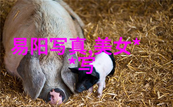 斗罗大陆高清完整版免费观看探索神秘的修真世界