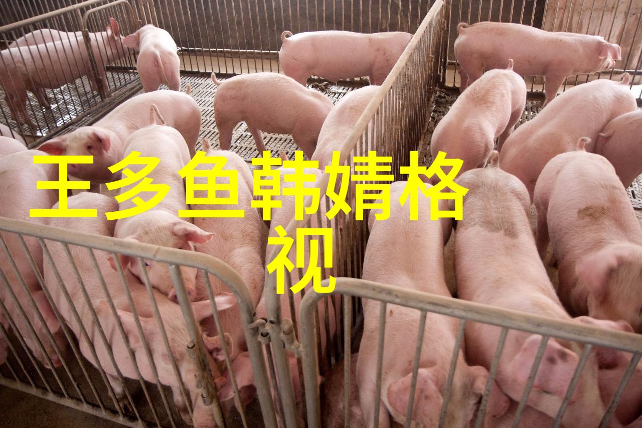 番茄影视大全甜美的果实与影像世界的奇幻