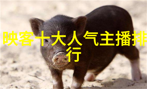 明星夫妇档案室他们的爱情故事和婚姻生活真相