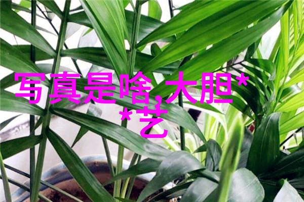 未解之谜女人佩戴八卦的神秘力量