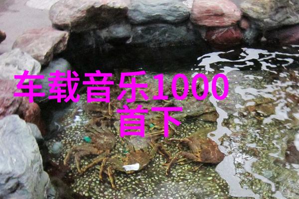 台湾新南向政策深化与南亚国家的经济合作
