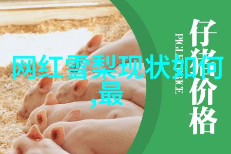 后天八卦罡步口诀我来教你这绝技吧