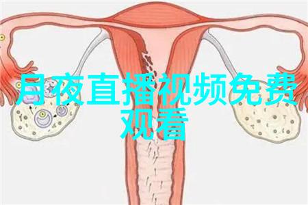 天涯明月刀电视剧江湖恩怨情深义长