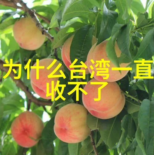 时尚女记者镜头下的风采与力量