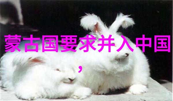 杨洋演绎电视剧中的魅力与挑战