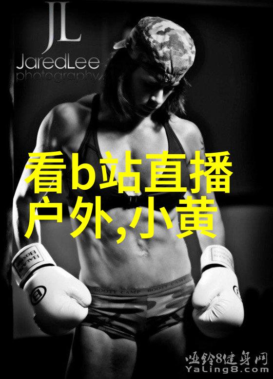 社交媒体上的风云人物网红背后的故事