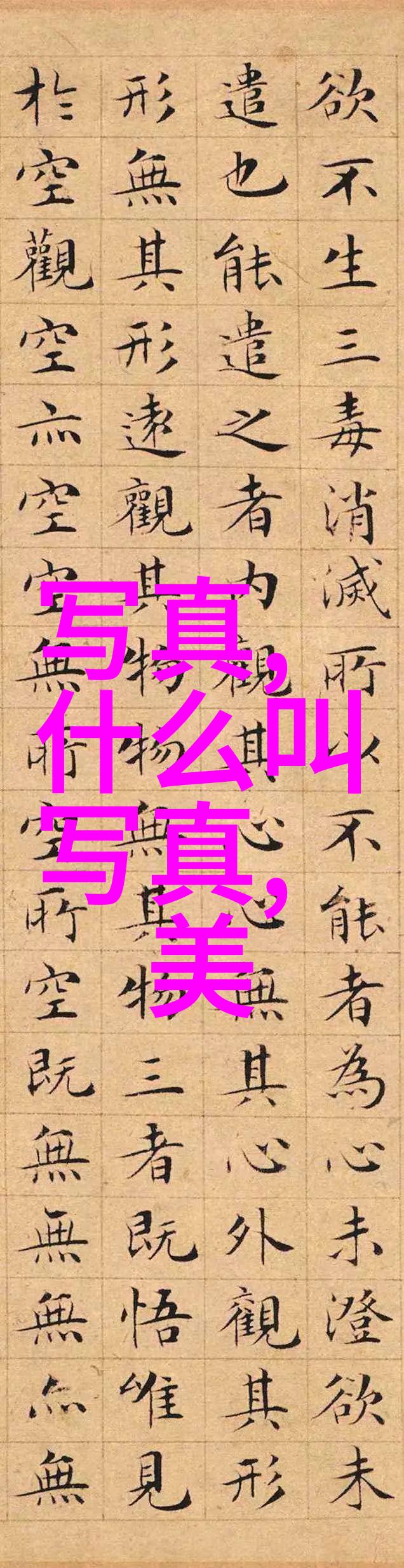 冰雪美景下的网络红人
