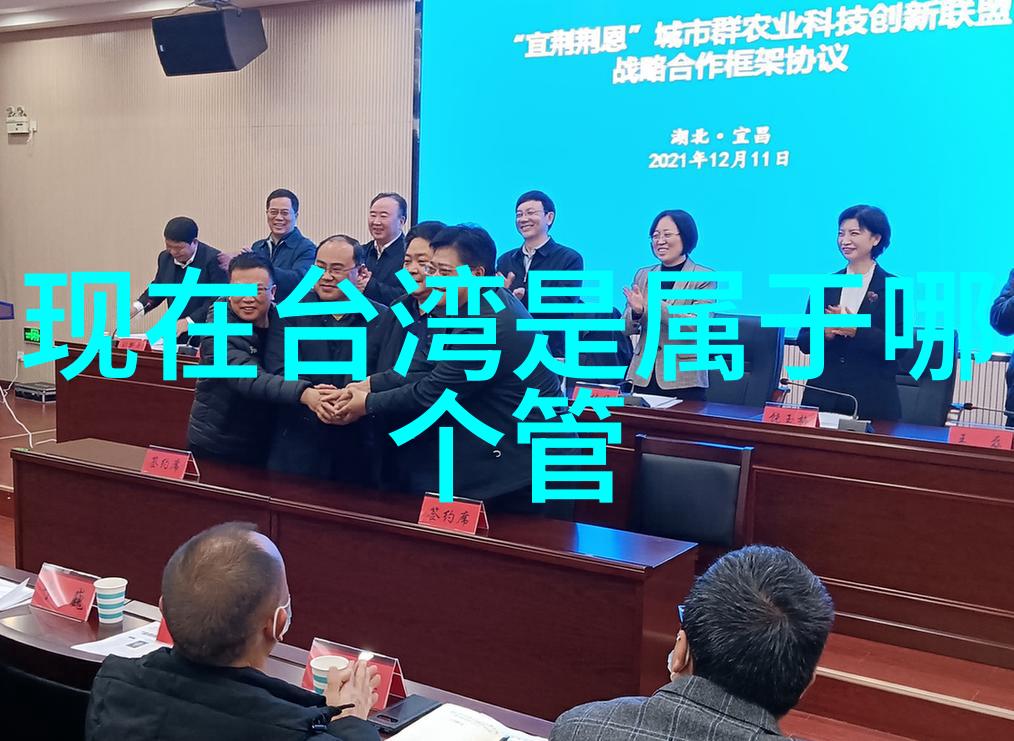 跨海视界台湾观众对大陆电视剧的喜爱与反思