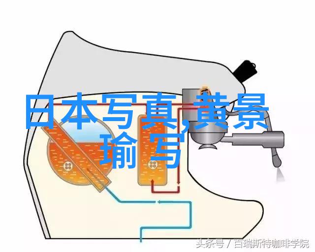 时代少年团综艺节目有哪些我知道你想知道的时代少年团那些流行综艺