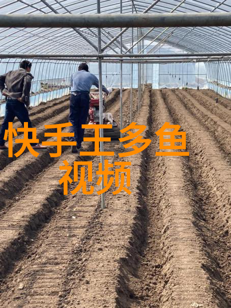 终结旧缘寒窗笛影古风网名精选2018