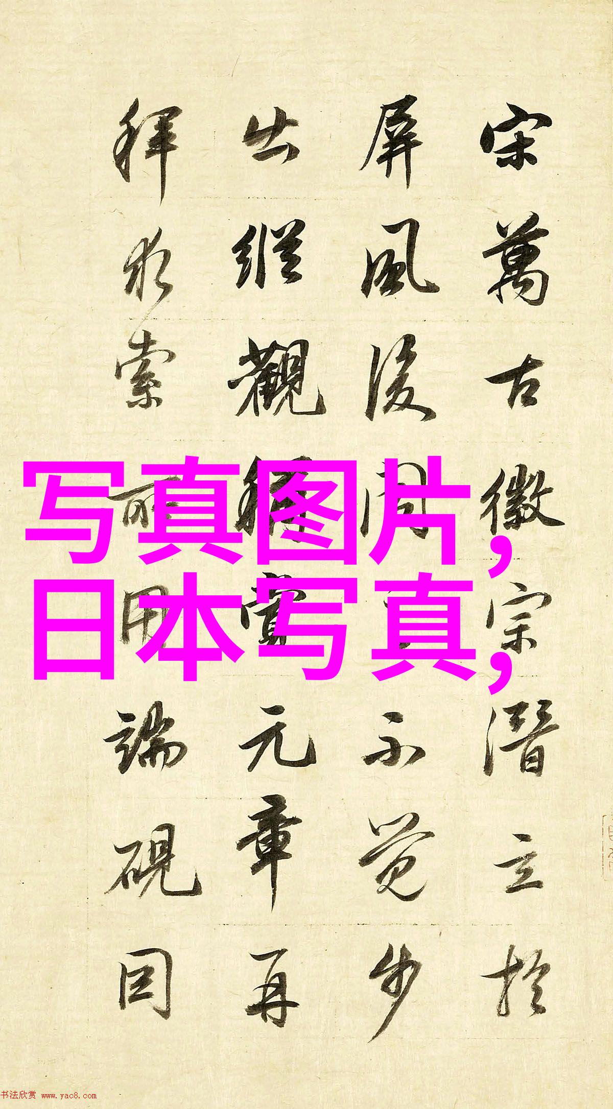 谭卓披着皮衣马尾辫摇曳为电影阿丽塔带来硬核感自称资深科幻迷的她在300668这个数字背后隐藏着对未来