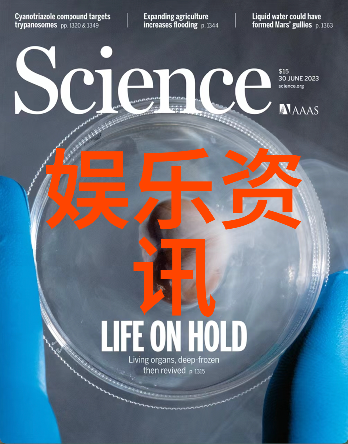 电子书籍中的蜗居文化探索