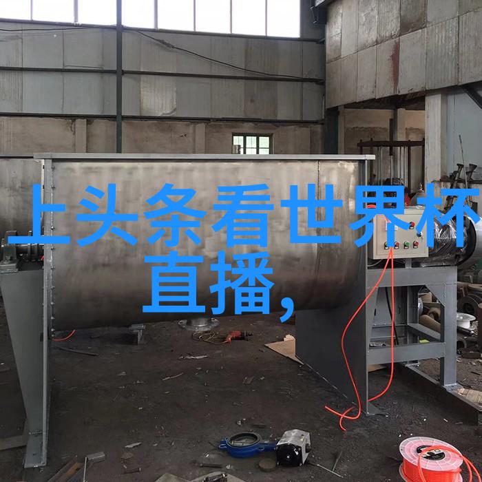 娱乐无界综艺巴士的奇幻旅程