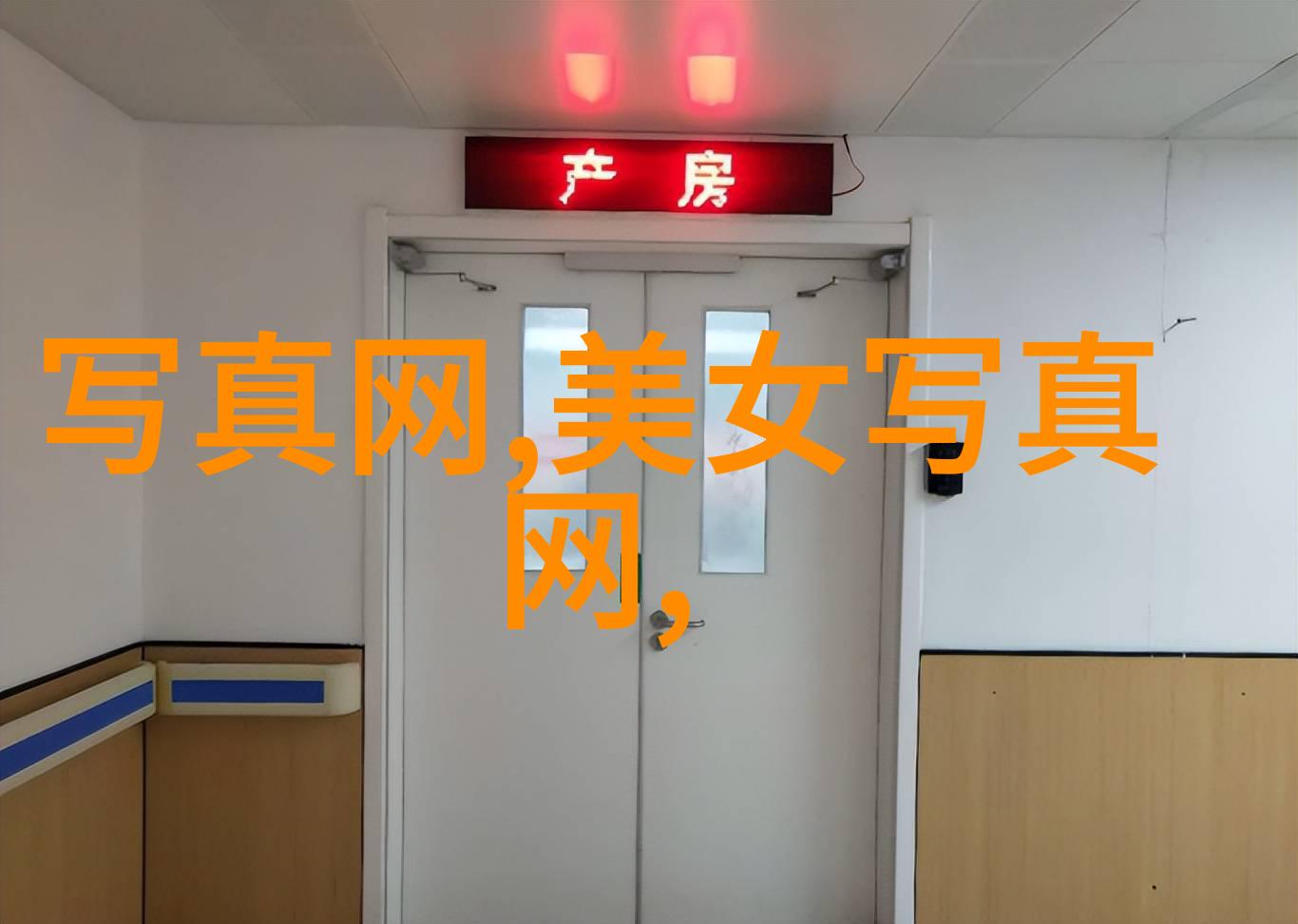 探索地球上的七大洲一个环球之旅