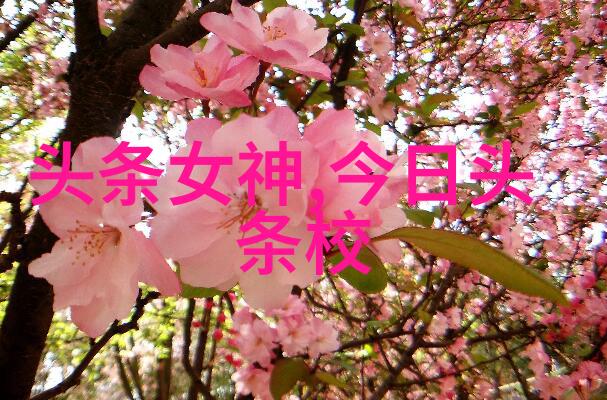 武帝丹神探秘古代养生之谜
