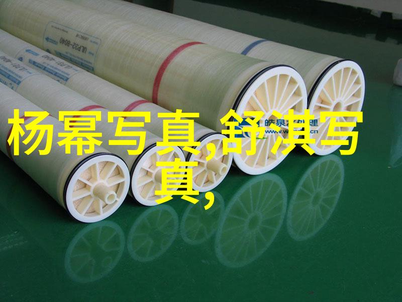 激情永燃敢死队的第四章征程