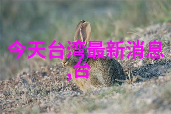 镜头下的真我大胆写真探索
